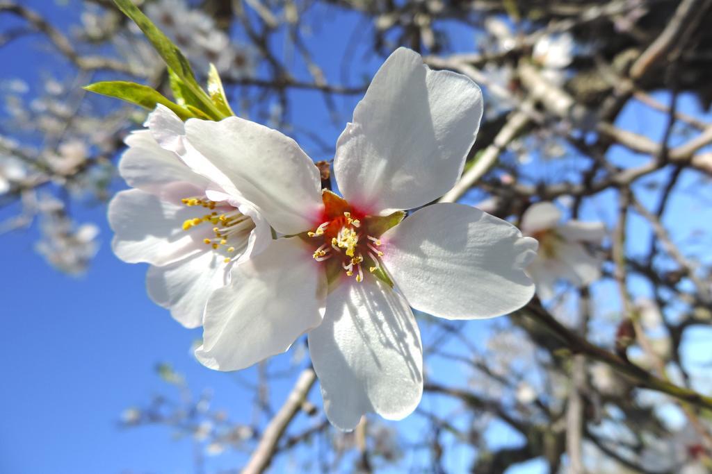 Marblau Mallorca